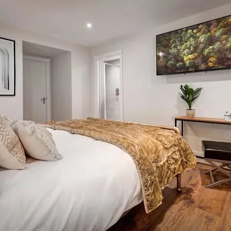 Modern One Bed In